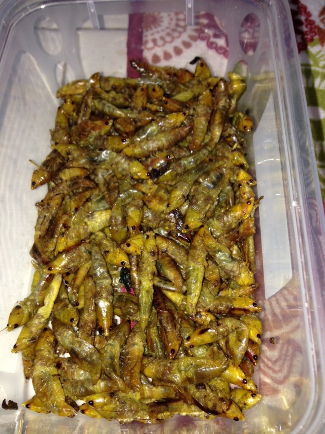 Grasshoppers: fried and salted they are crispy little critters- just pop them in your mouth but try not to look at the eyes!