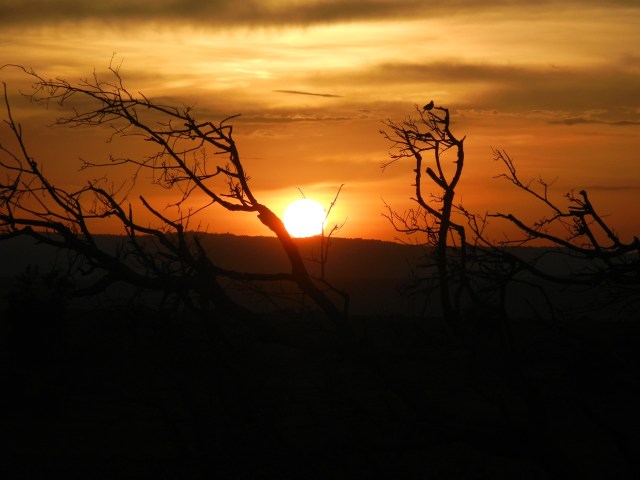 A beautiful sunset over the Savannah to end a beautiful day!