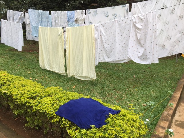 I laid the sweater to dry on a bush, which worked quite well.