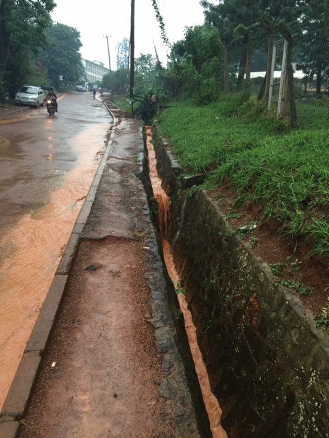 IMG_6575-massive rain